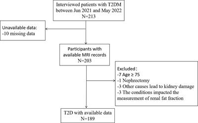 Renal fat fraction is significantly associated with the risk of chronic kidney disease in patients with type 2 diabetes